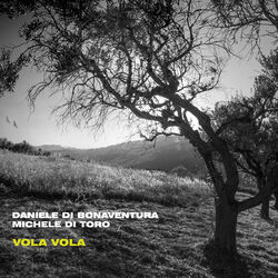 Cover of Vola vola