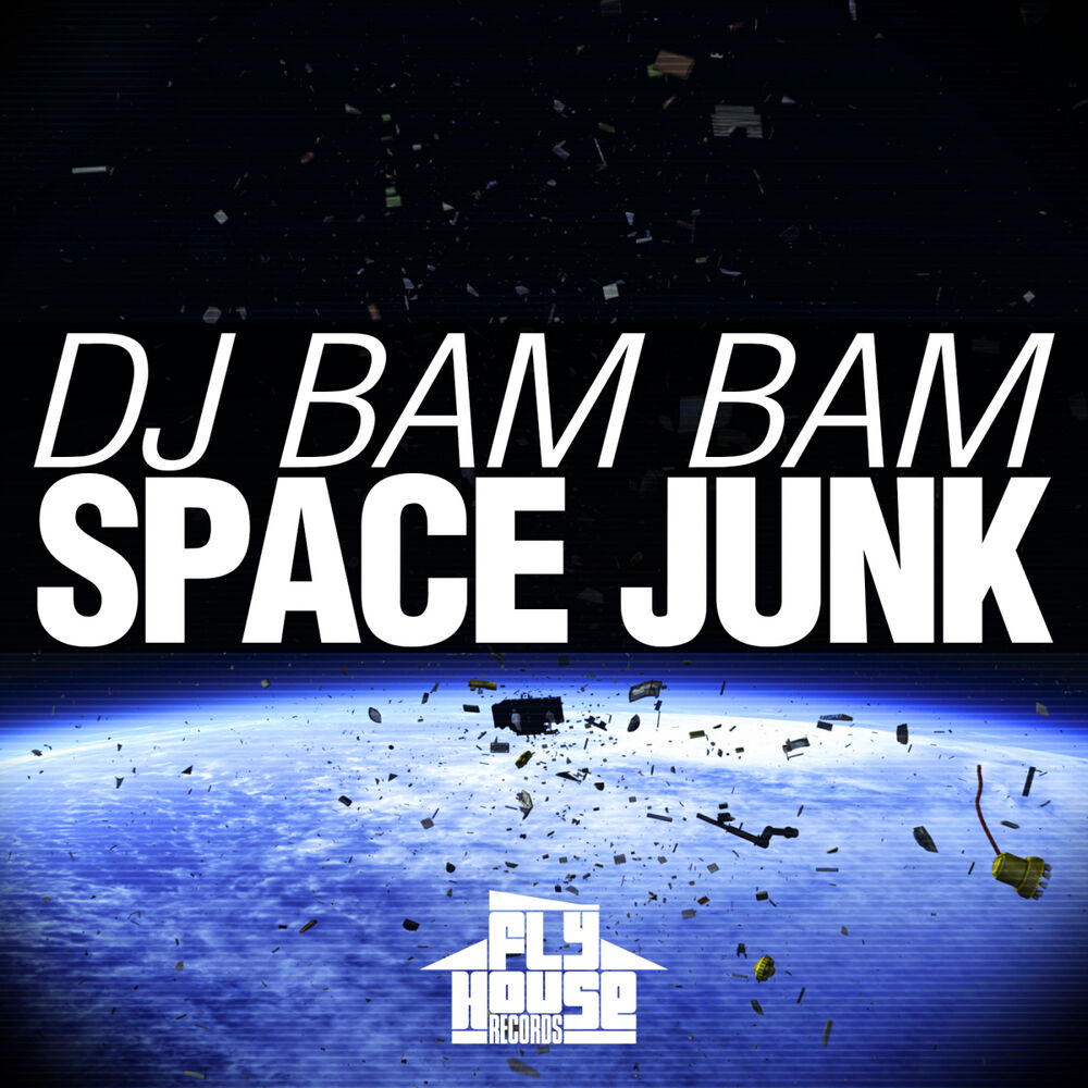 Picture of Space Junk