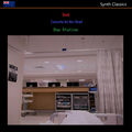 Synth Classics Duck Concerto for the Heart