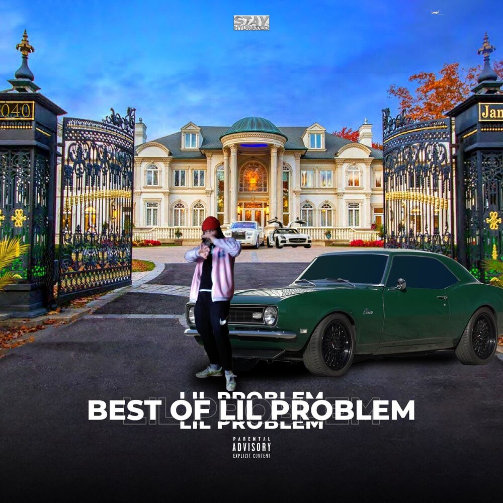 Picture of BEST OF LIL PROBLEM