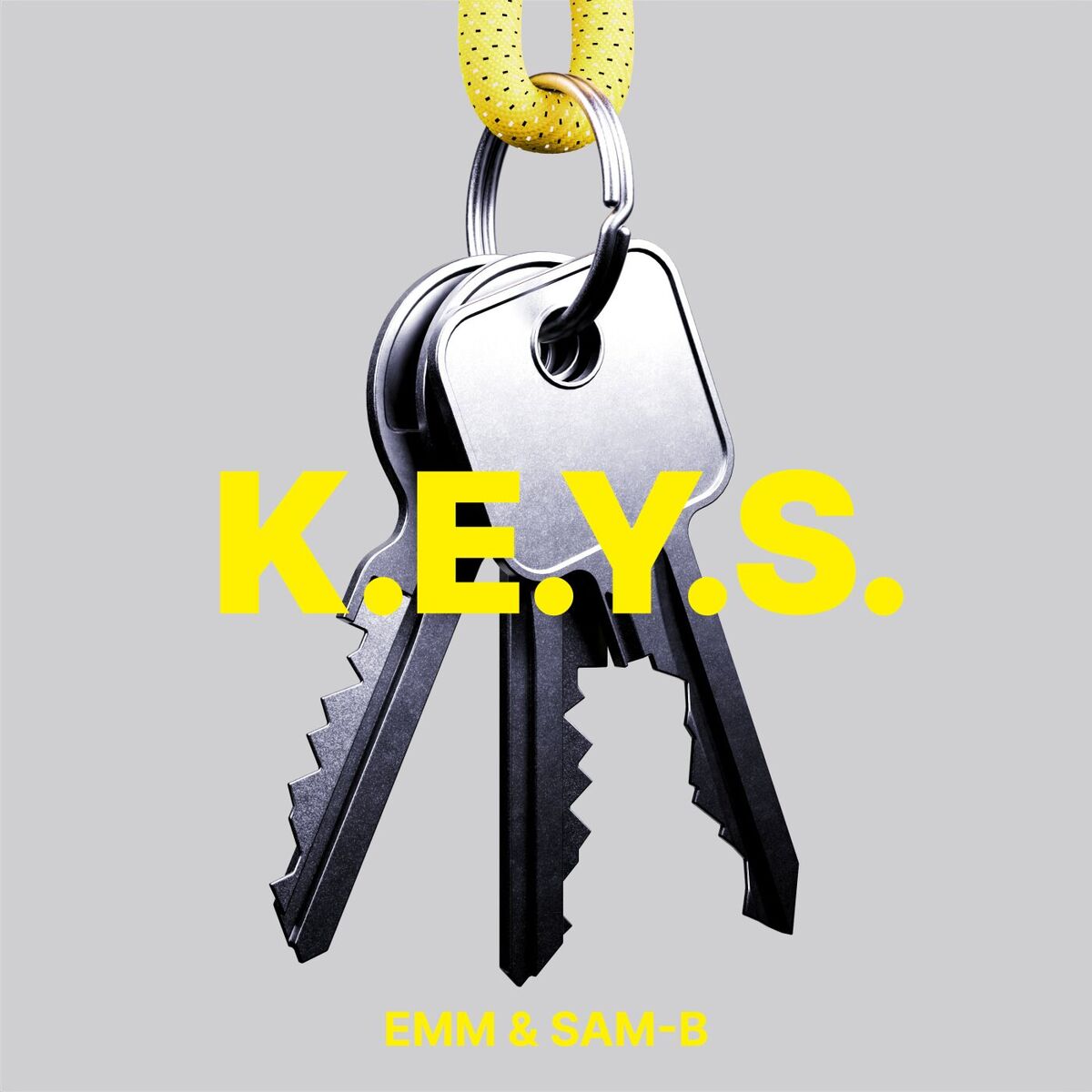 Album cover of K.E.Y.S.