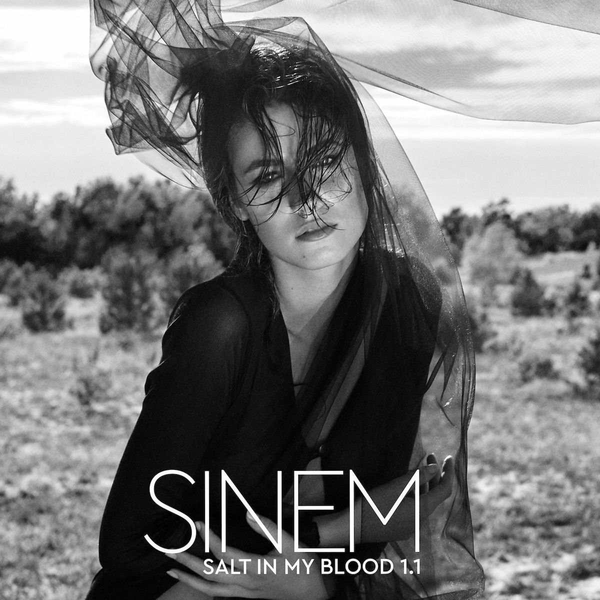 Album cover of Salt in My Blood 1.1