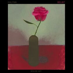 Cover of Belief