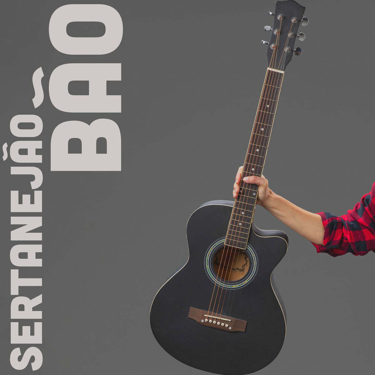 Album cover of Leilão