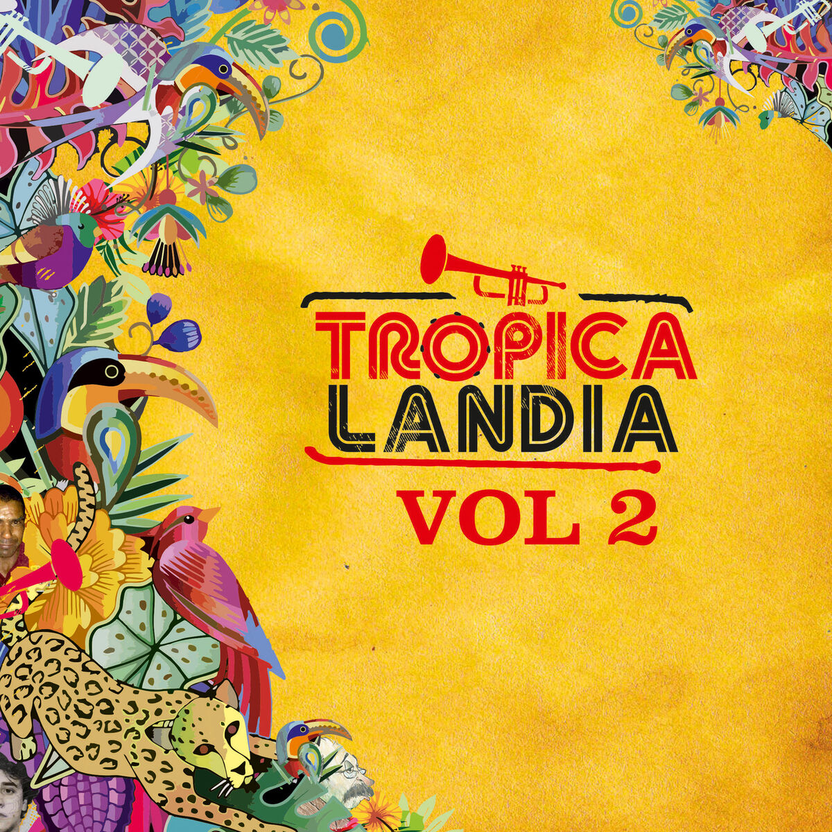 Album cover of Tropicalandia, Vol. II