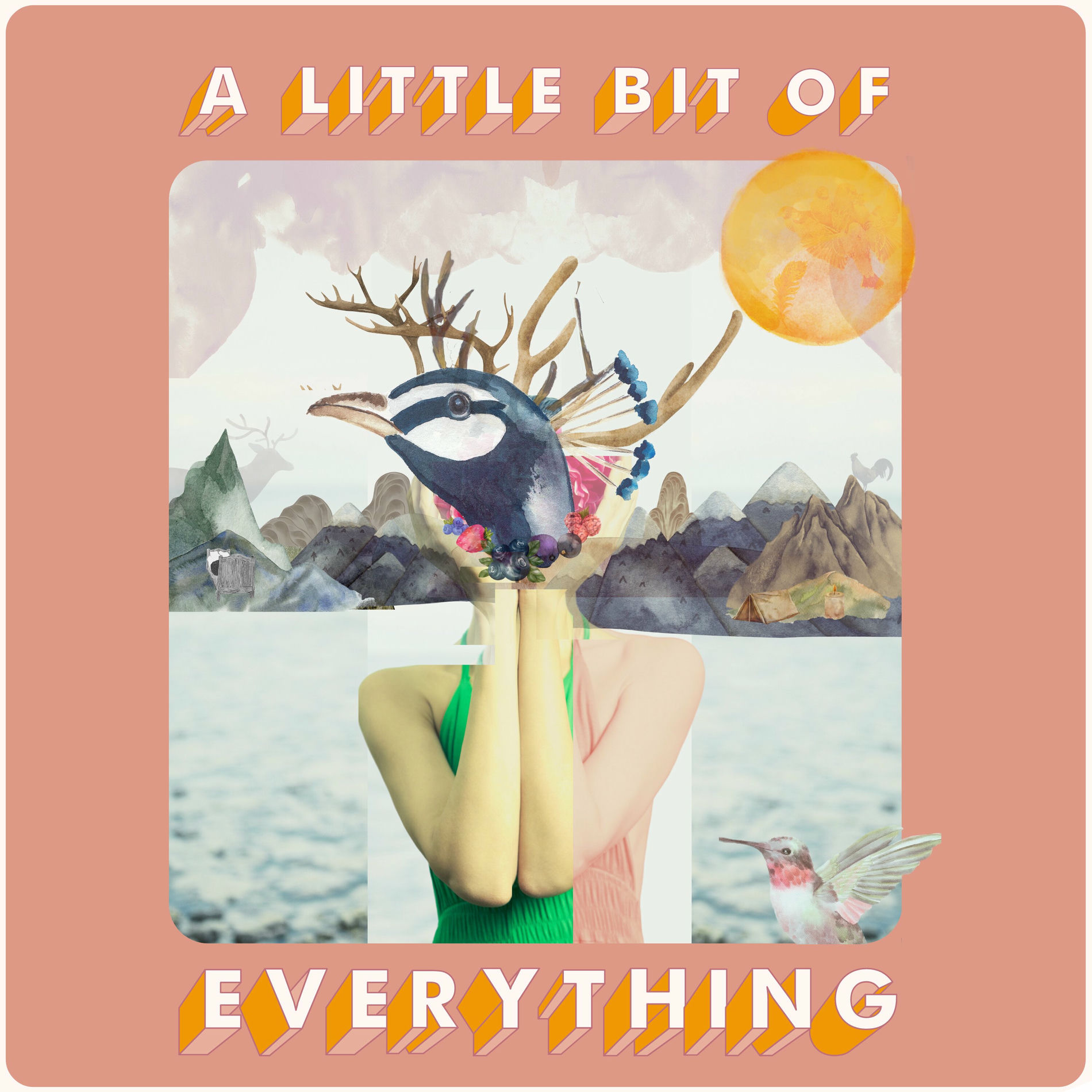 Album cover of A Little Bit Of Everything