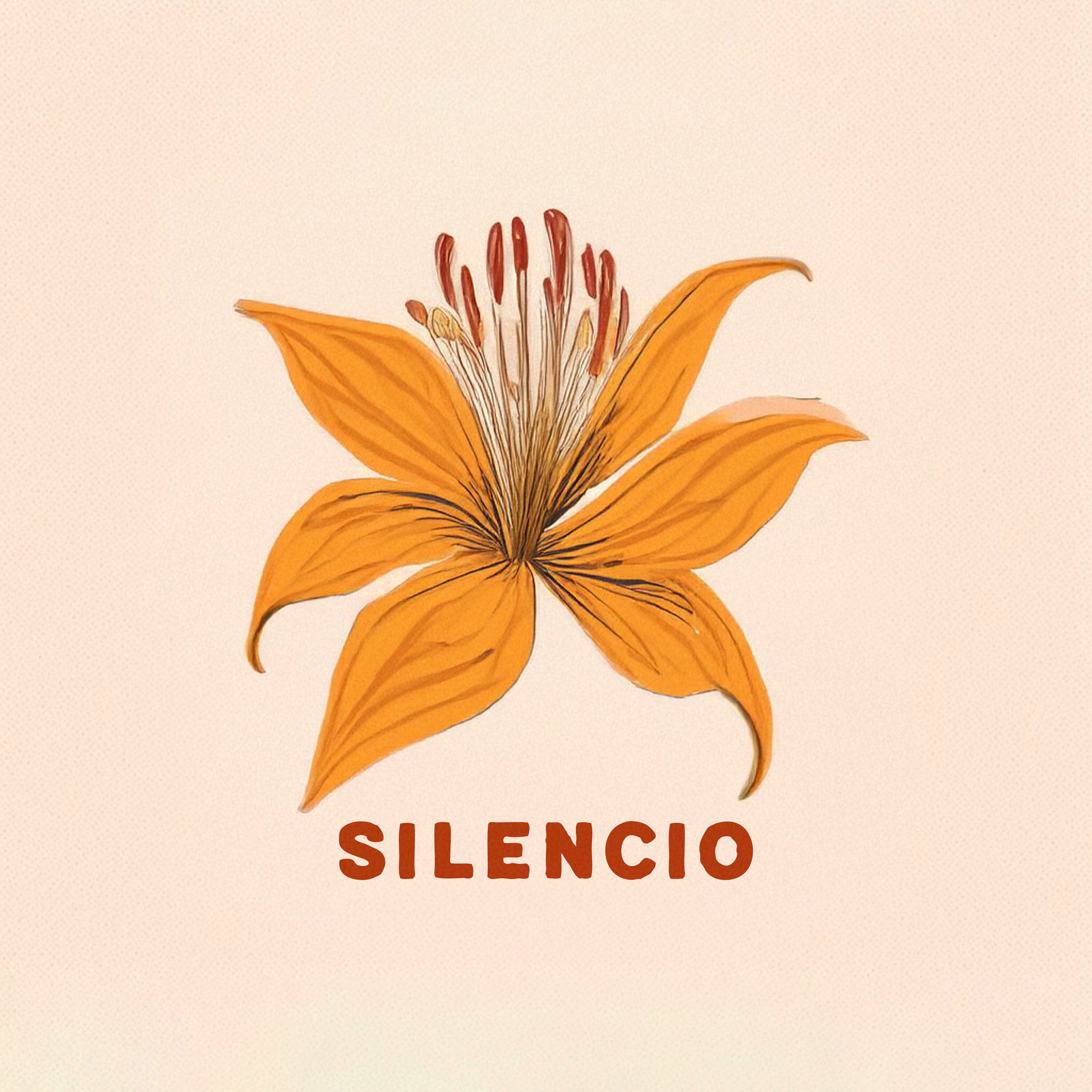 Album cover of Silencio