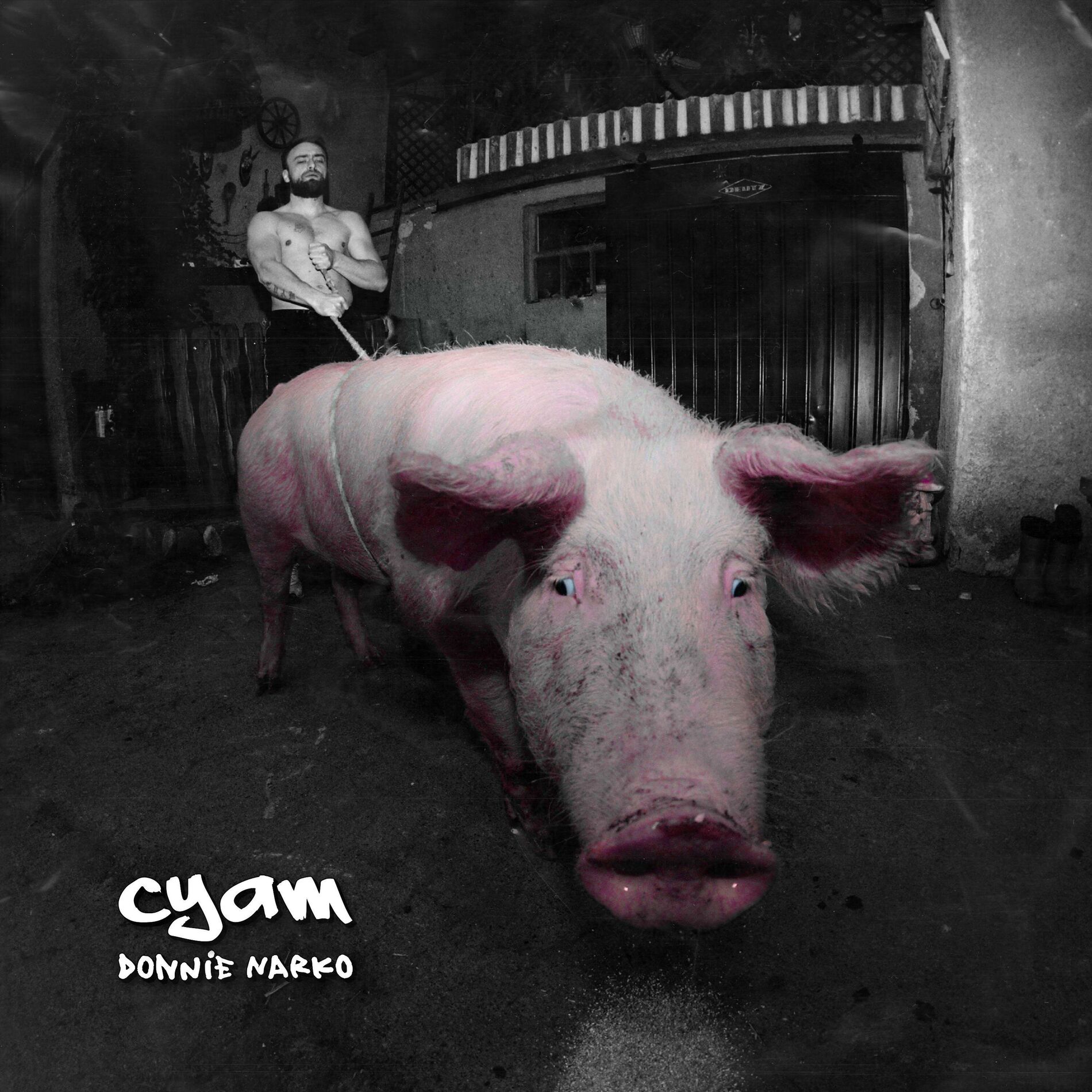 Album cover of Donnie Narko