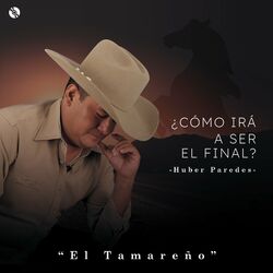 Cover of ¿Cómo Irá A Ser El Final?
