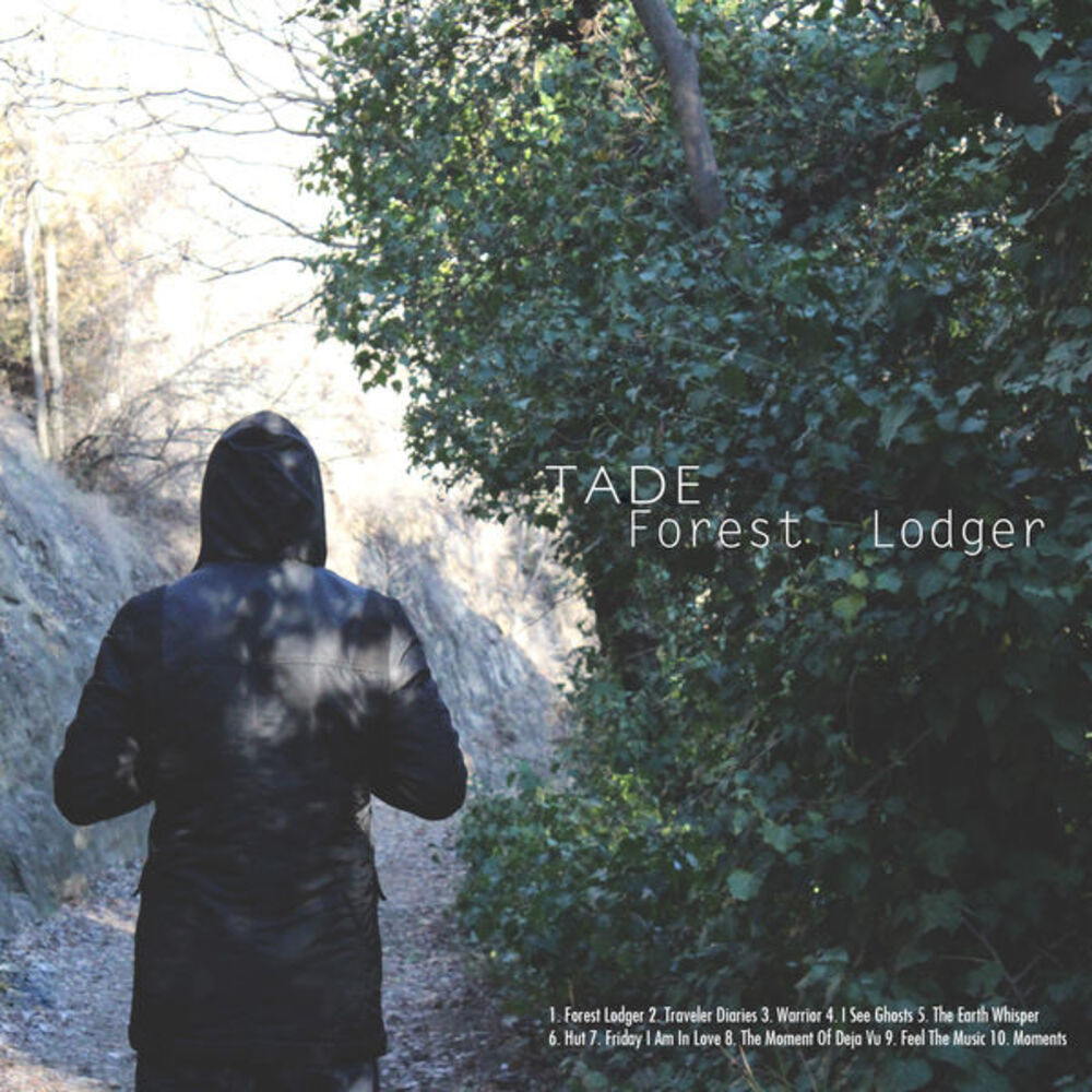 Picture of Forest Lodger