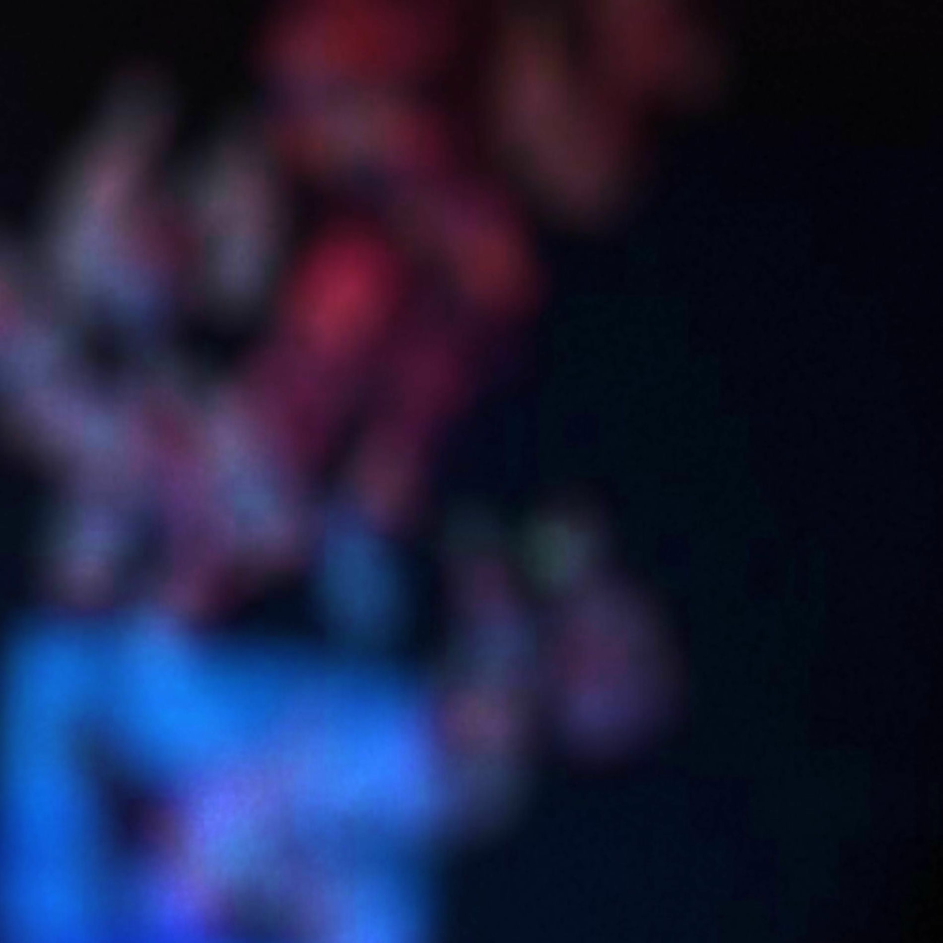 Album cover of Polo Days (feat. Wifisfuneral)