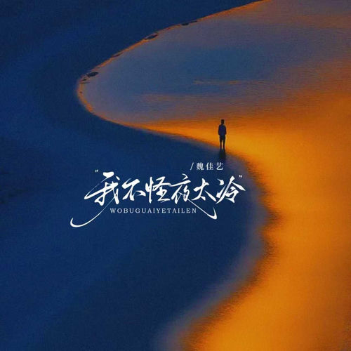 我不怪夜太冷