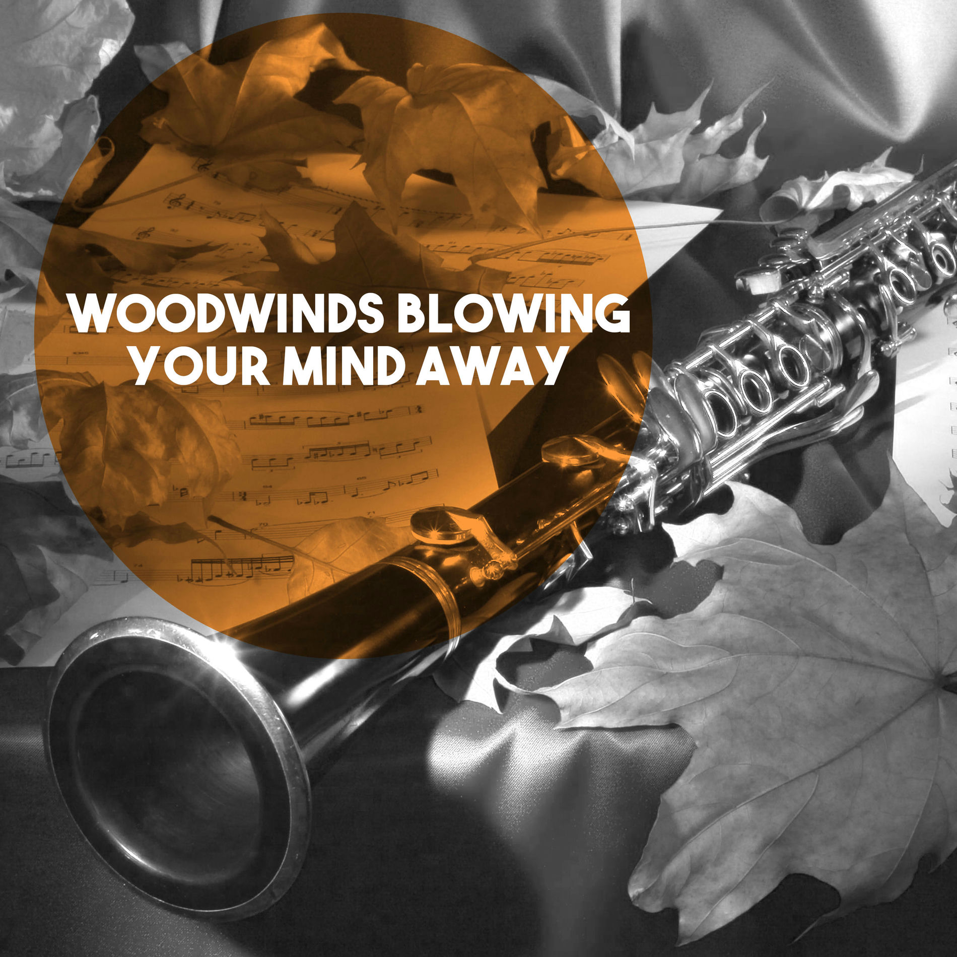 Album cover of Woodwinds Blowing Your Mind Away
