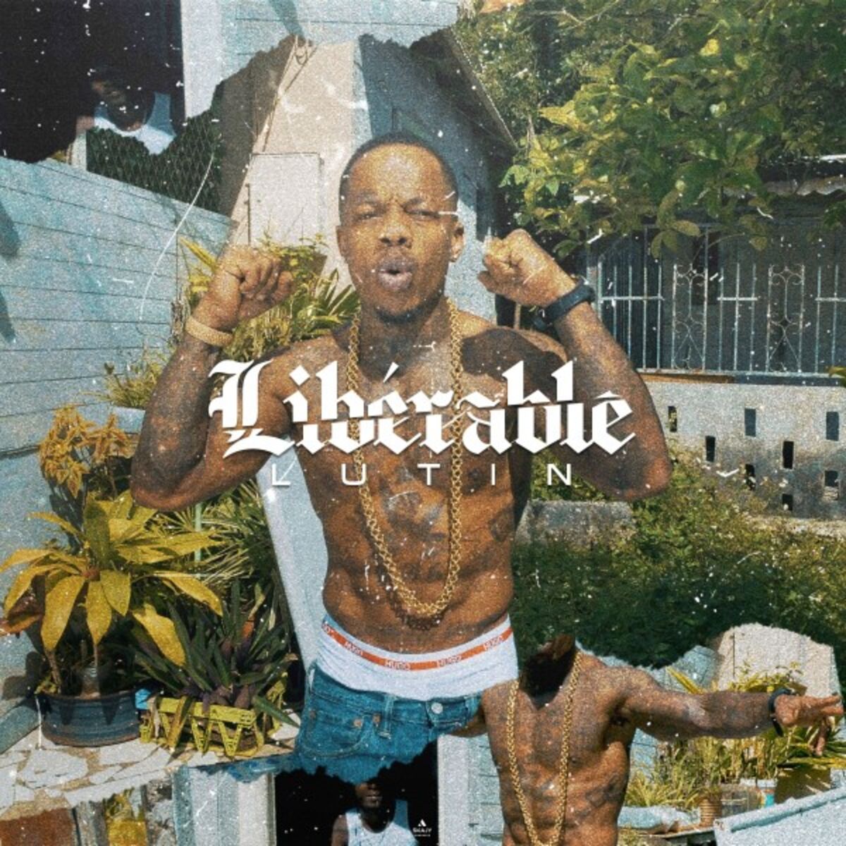 Album cover of Libérable