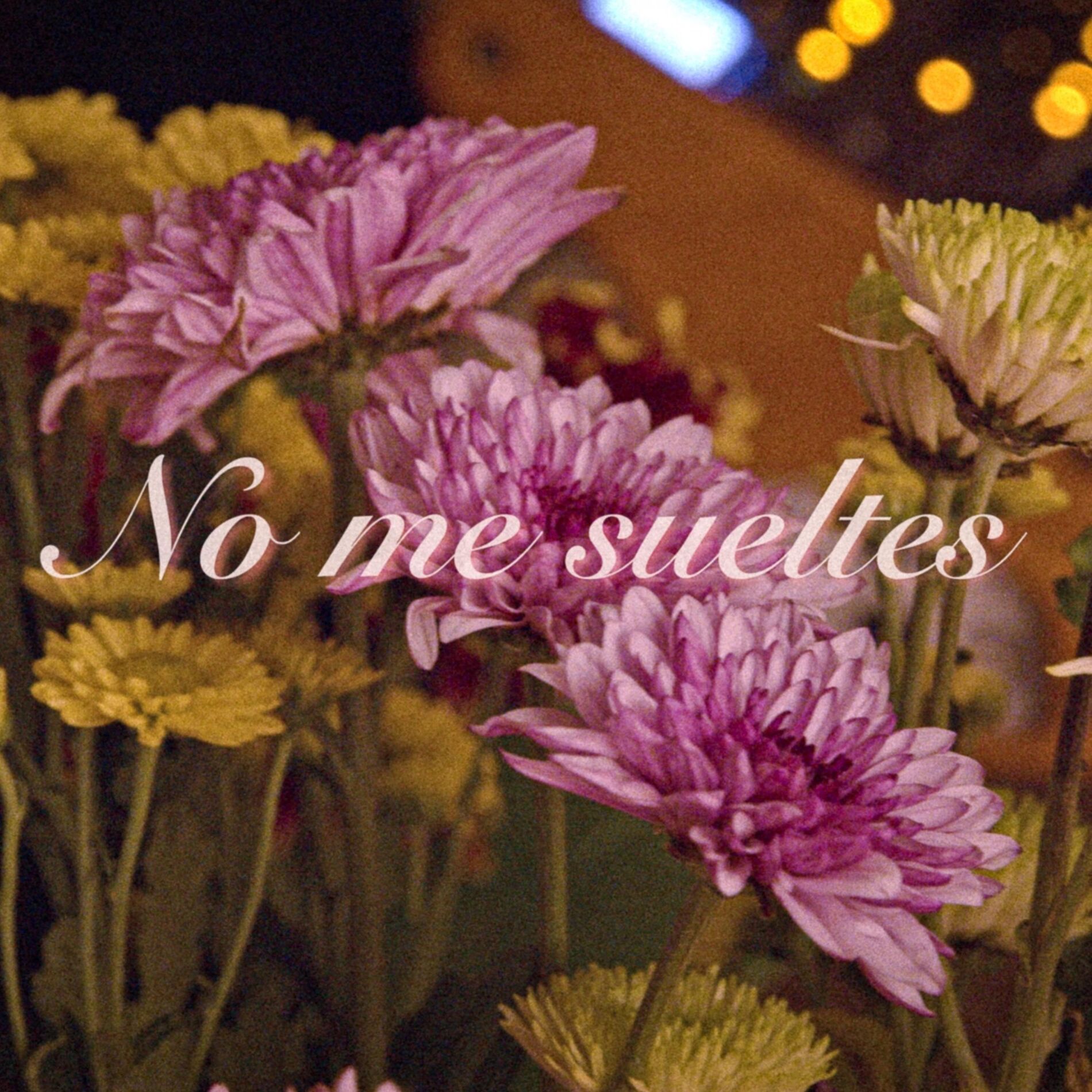 Album cover of No Me Sueltes