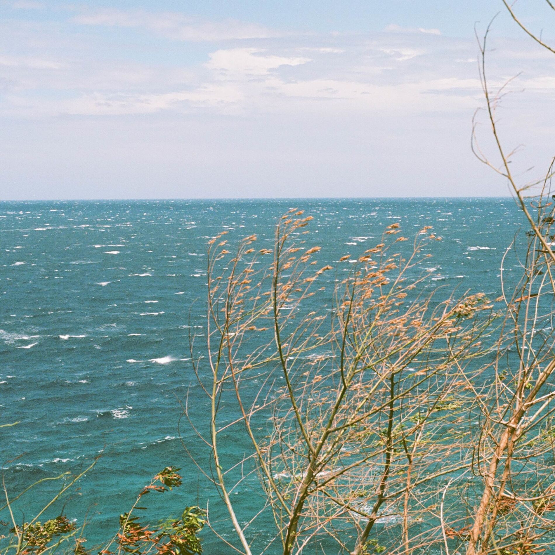 Album cover of For Youth