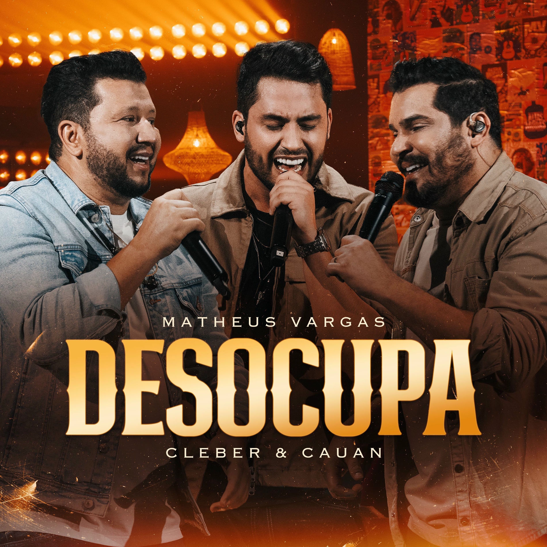 Album cover of Desocupa
