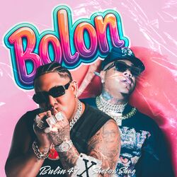 Cover of Bolón