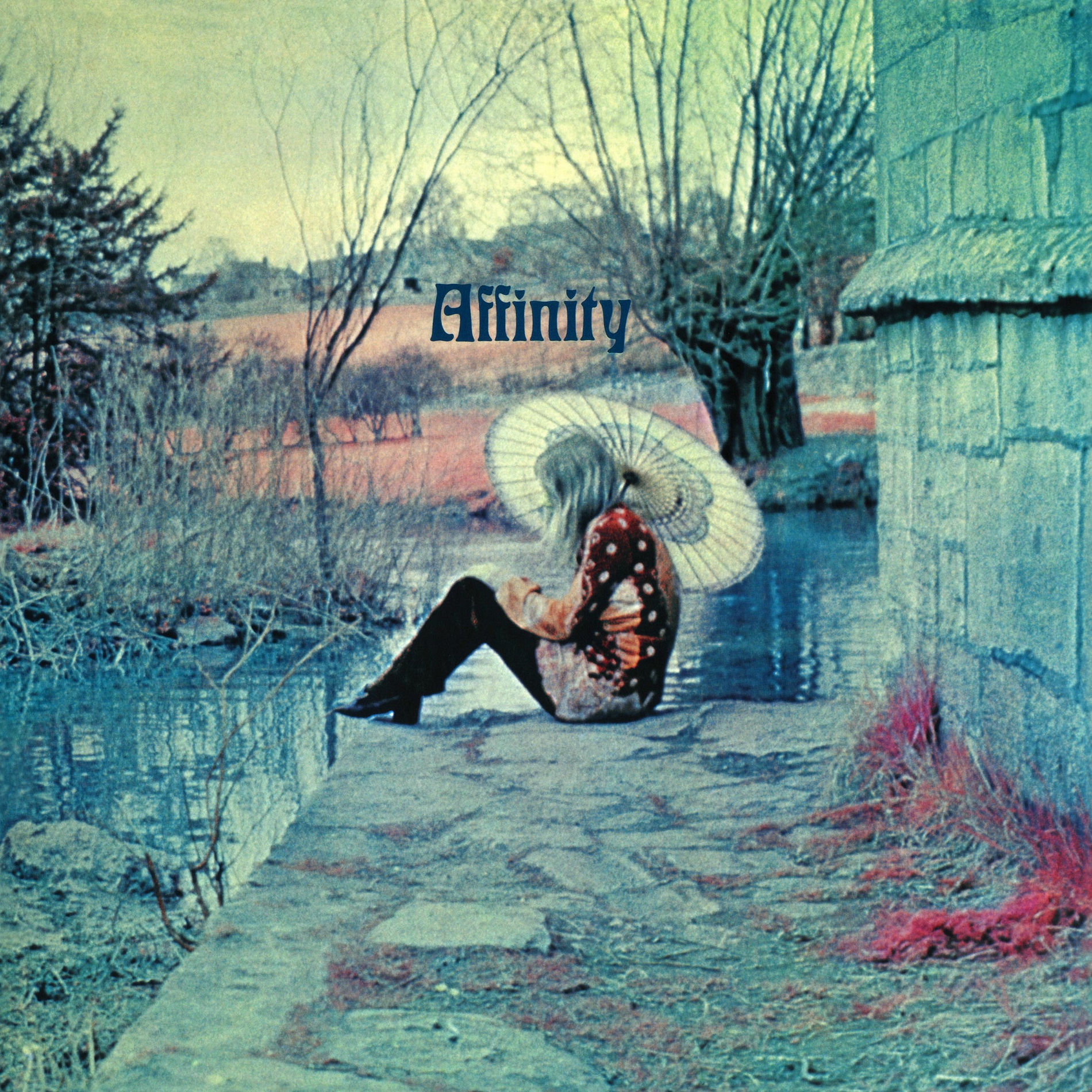 洋楽 Affinity Affinity – Affinity – Vinyl (LP, Album), 1970 [r4199164