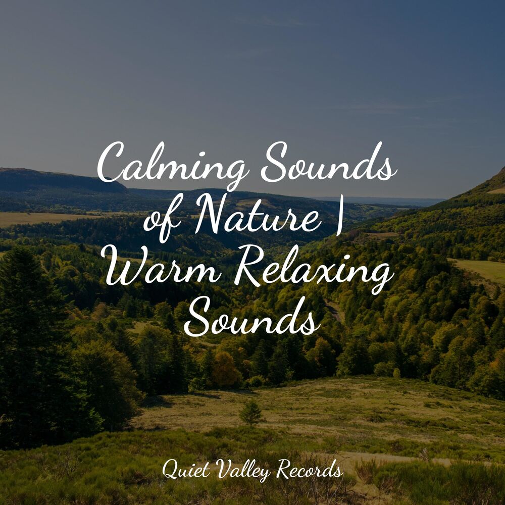 Picture of Calming Sounds of Nature | Warm Relaxing Sounds