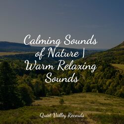 Cover of Calming Sounds of Nature | Warm Relaxing Sounds