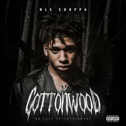 Cover of Cottonwood