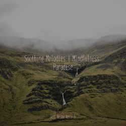 Cover of Soothing Melodies | Mindfulness Paradise