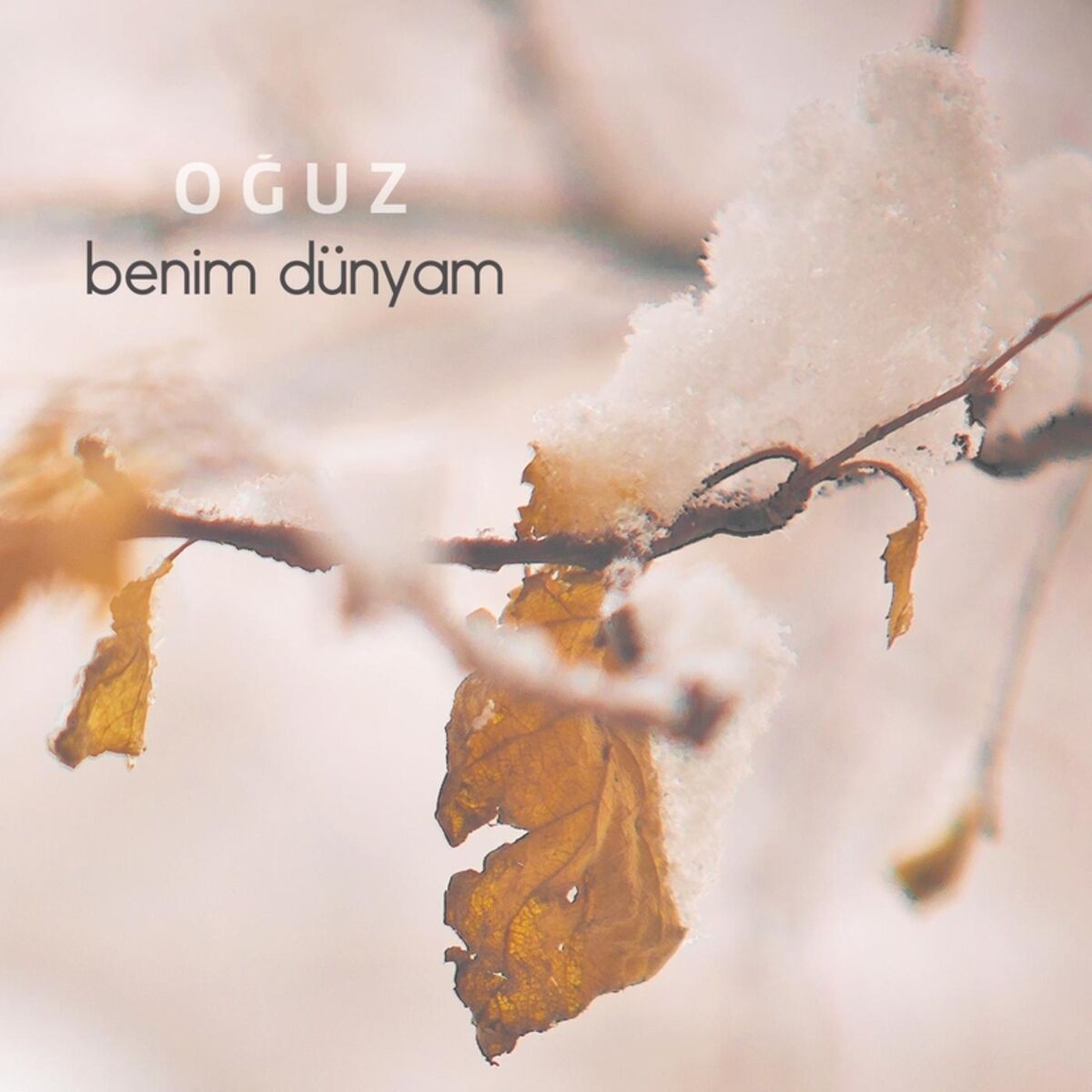 Album cover of Benim Dünyam