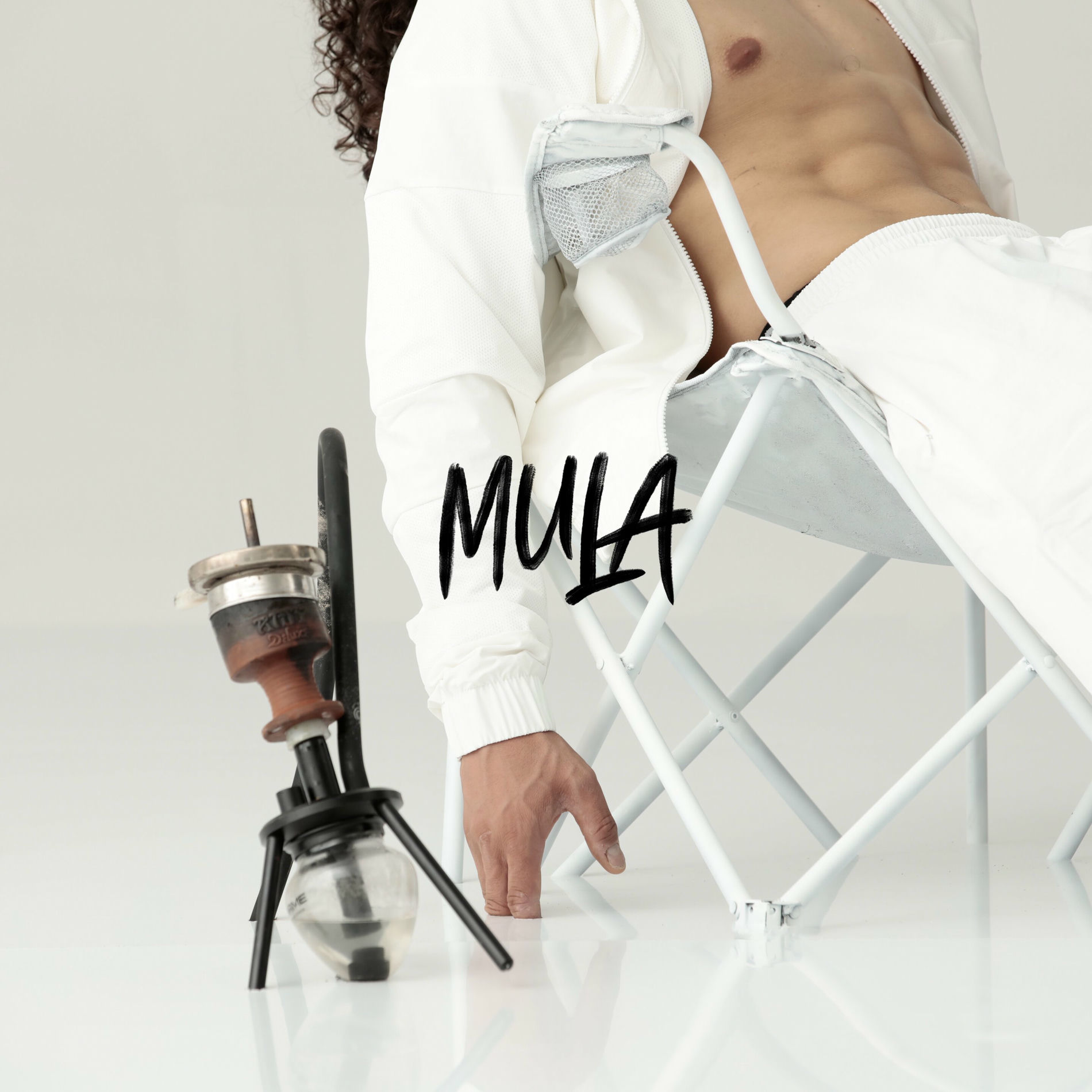 Album cover of Mula