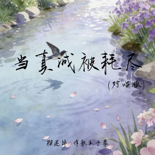 当真诚被耗尽 (对唱版)