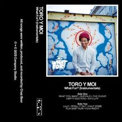 Cover of What For? (Instrumentals)