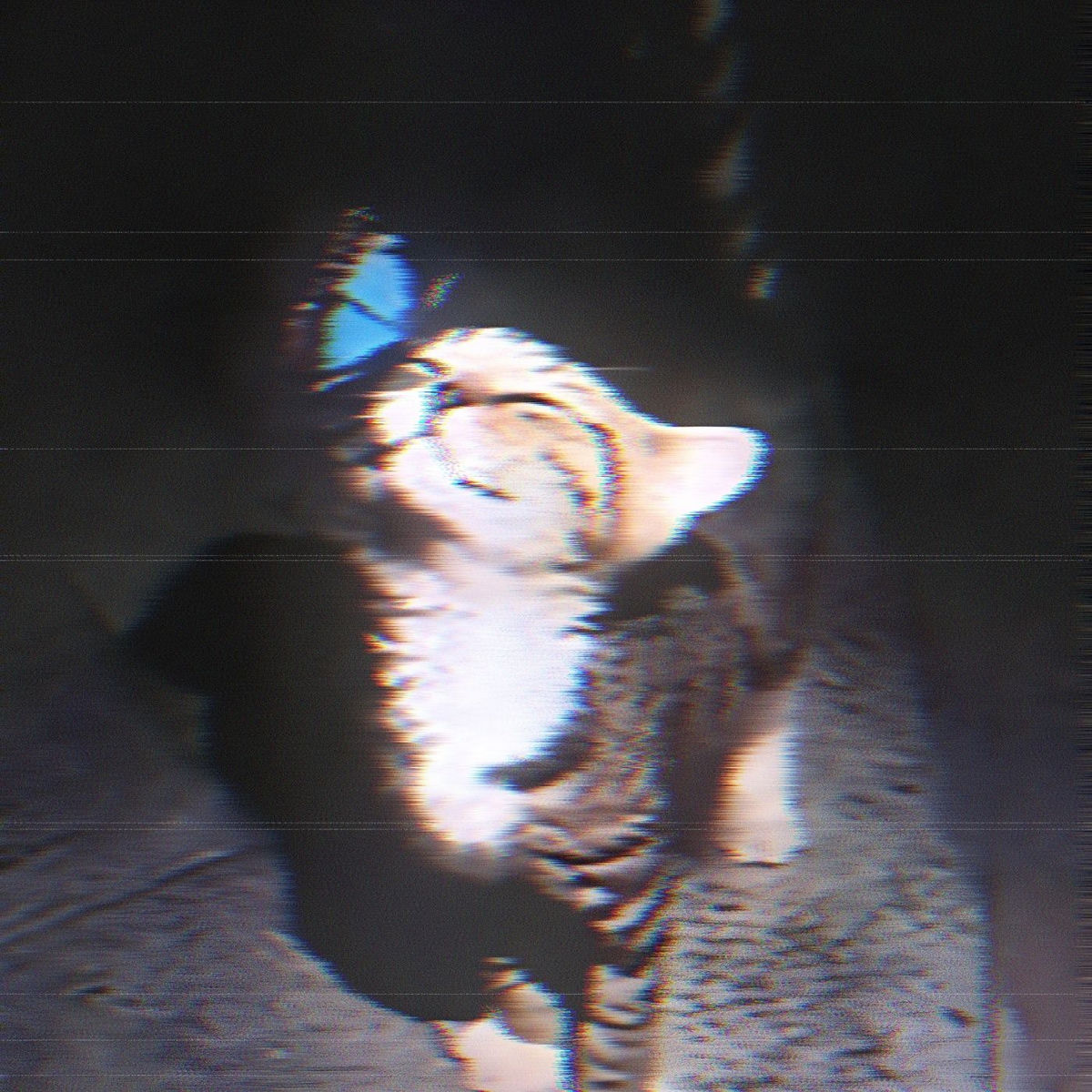 Album cover of Self Aware