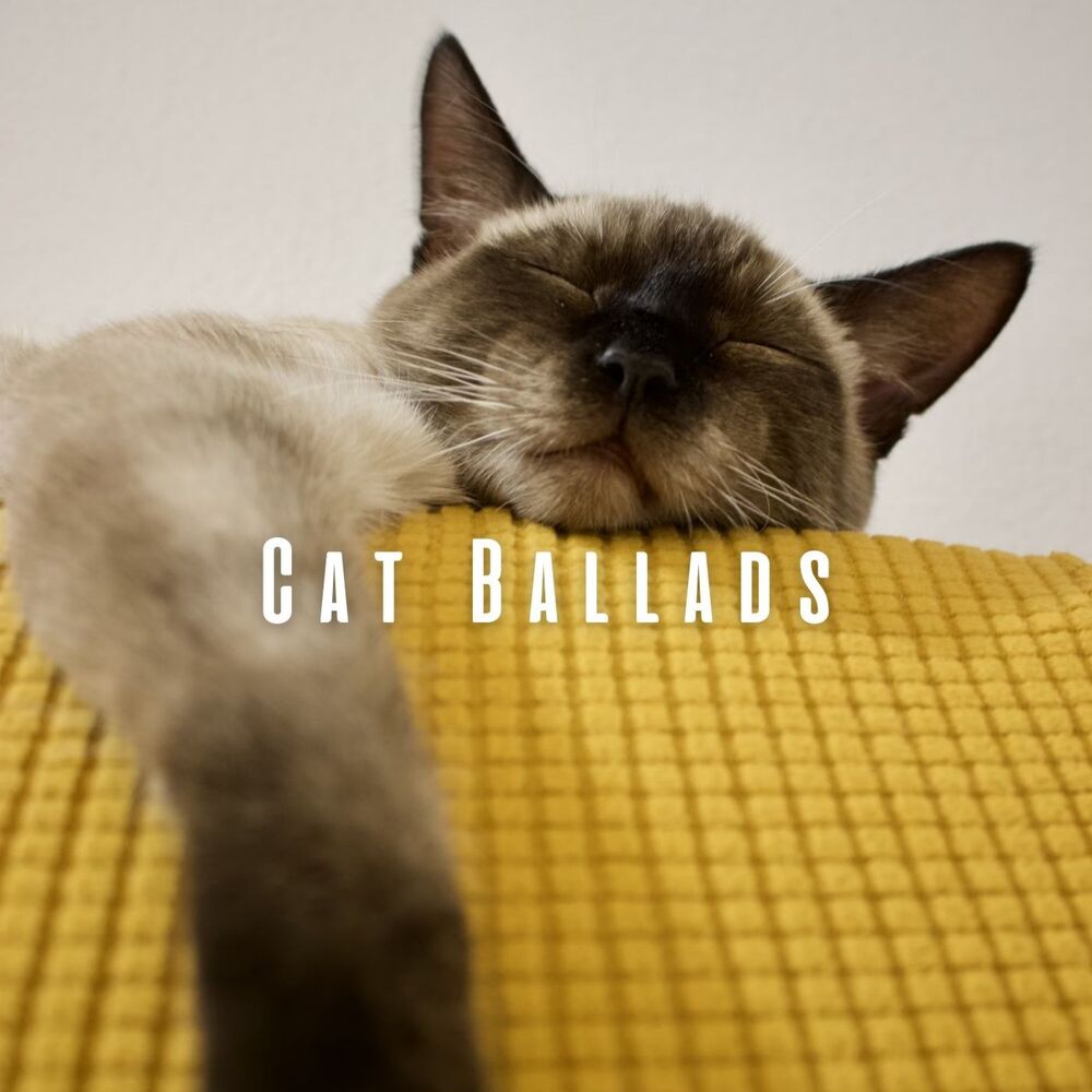 Picture of Cat Ballads: Music for Soulful Meows