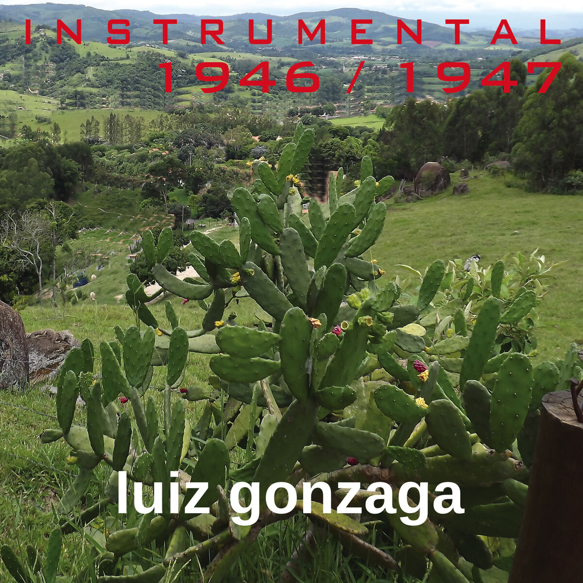 Album cover of Instrumental (1946-1947)