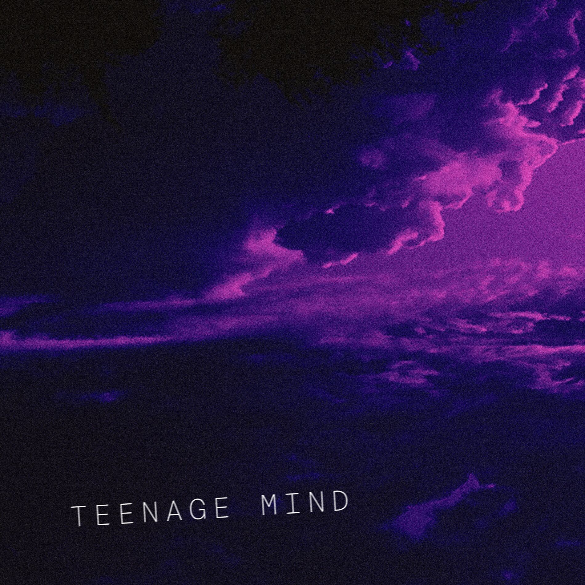 Album cover of Teenage Mind
