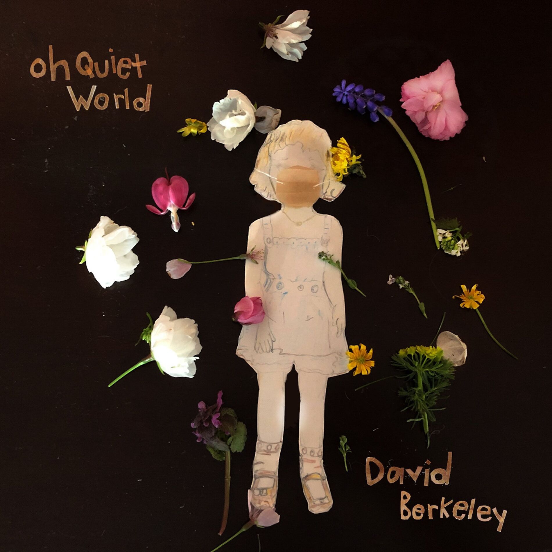 Album cover of Oh Quiet World