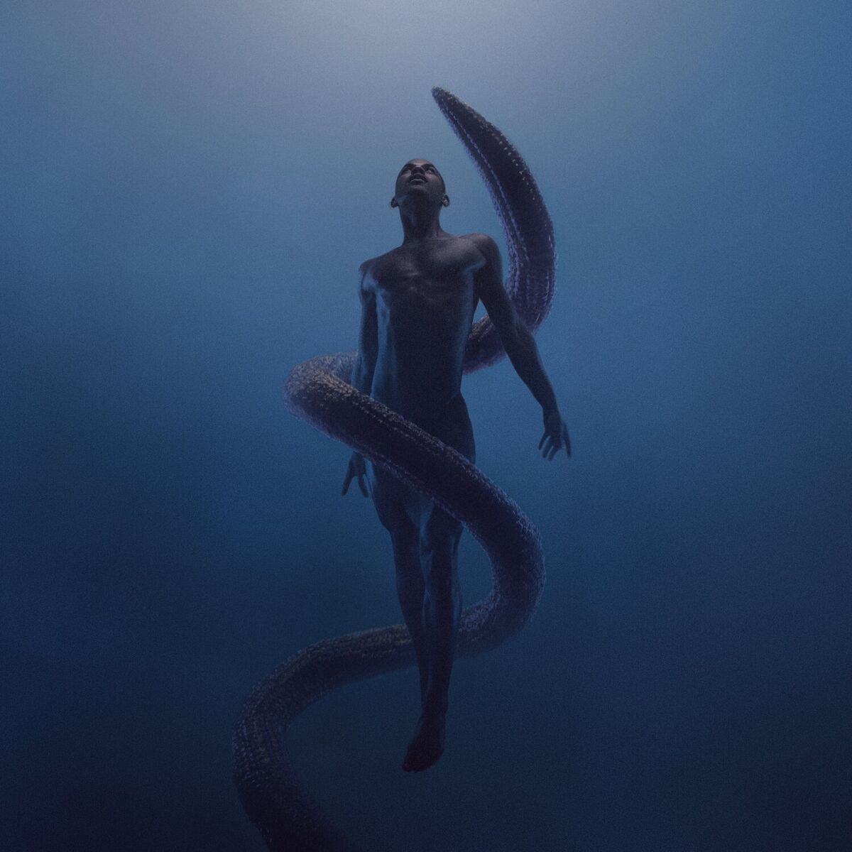 Album cover of beautiful