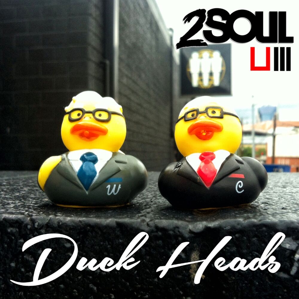 Picture of Duck Heads