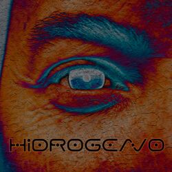 Cover of HIDROGENO