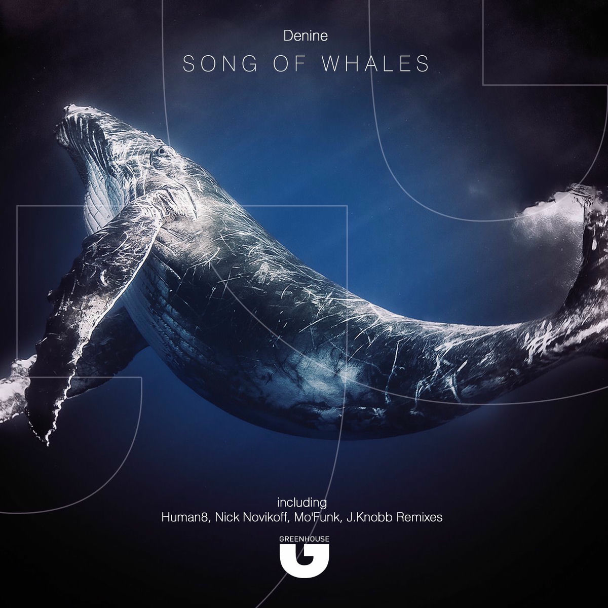 Album cover of Song of Whales