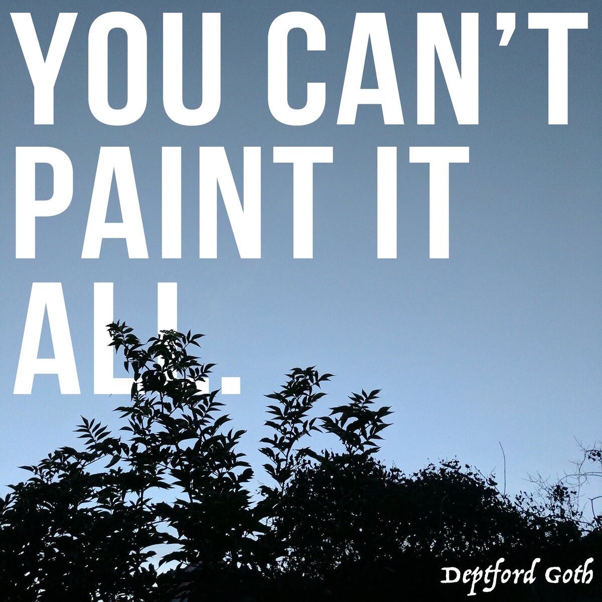 Album cover of You Can't Paint It All