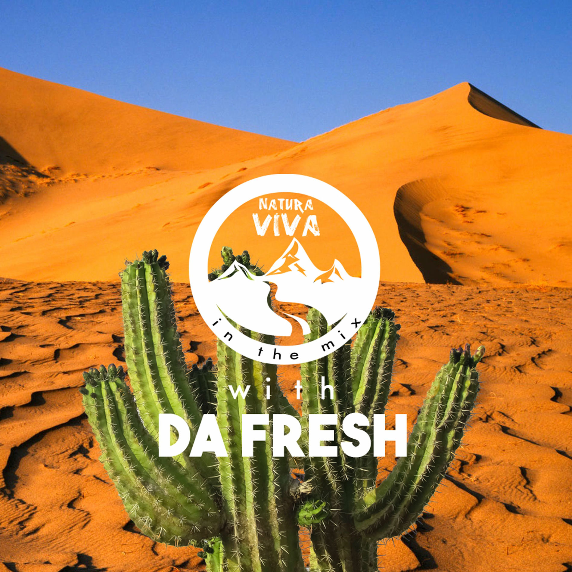 Album cover of Natura Viva in the Mix With Da Fresh