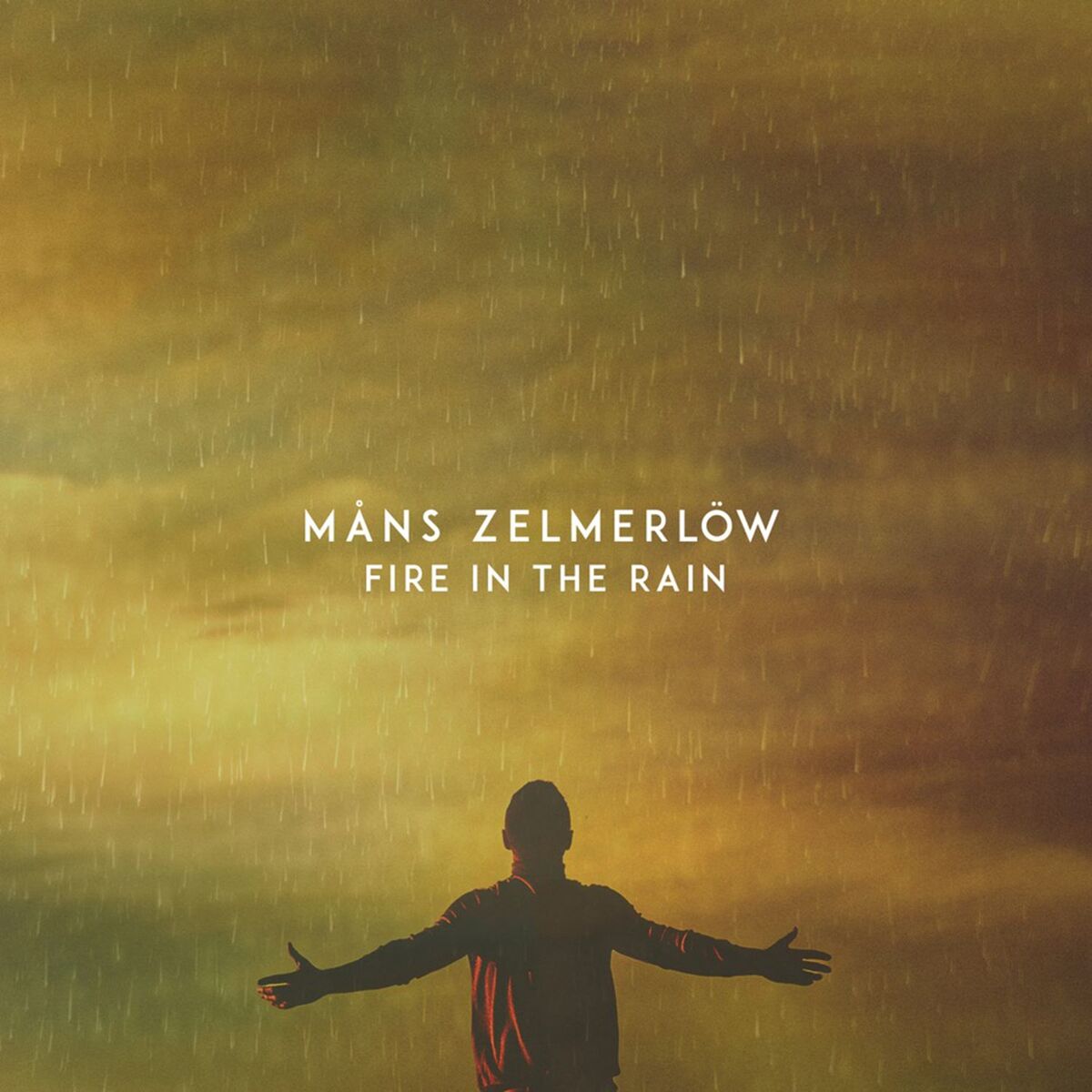 Album cover of Fire in the Rain
