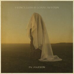 Cover of In Amber