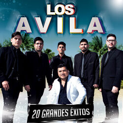 Cover of 20 Grandes Éxitos