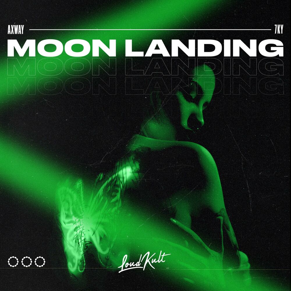 Picture of Moon Landing