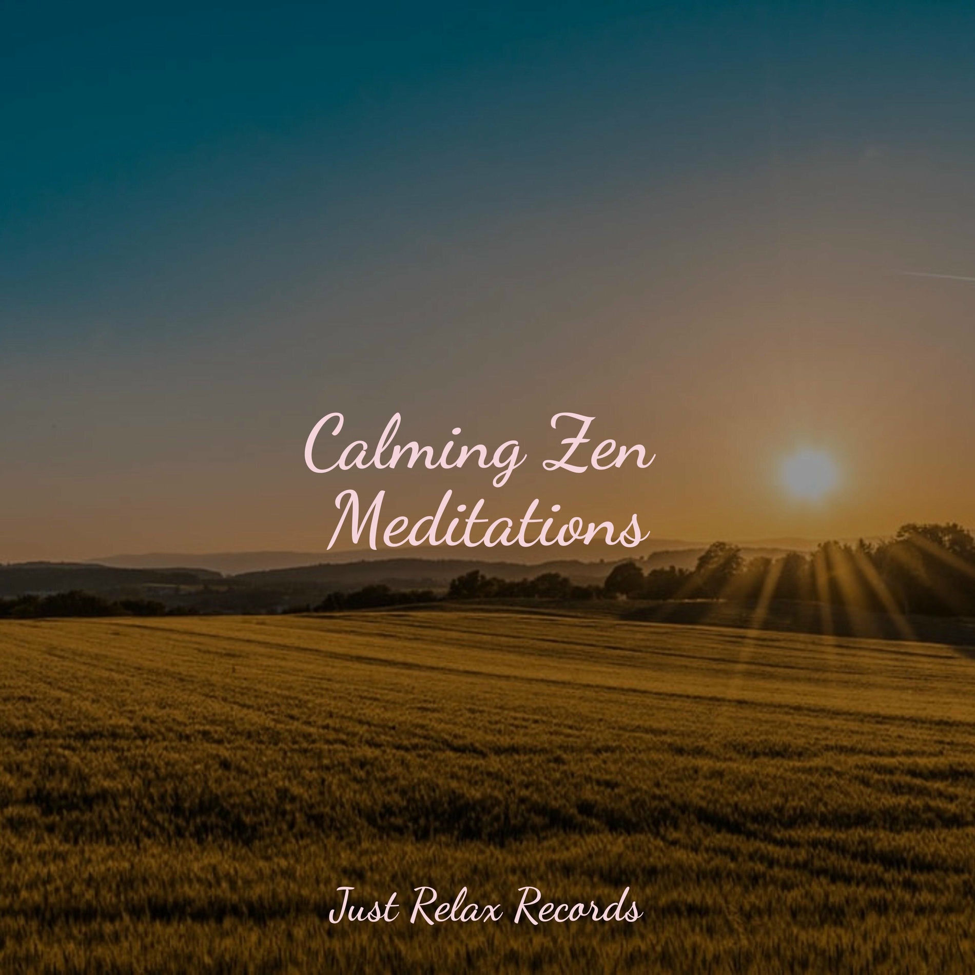 Album cover of Calming Zen Meditations