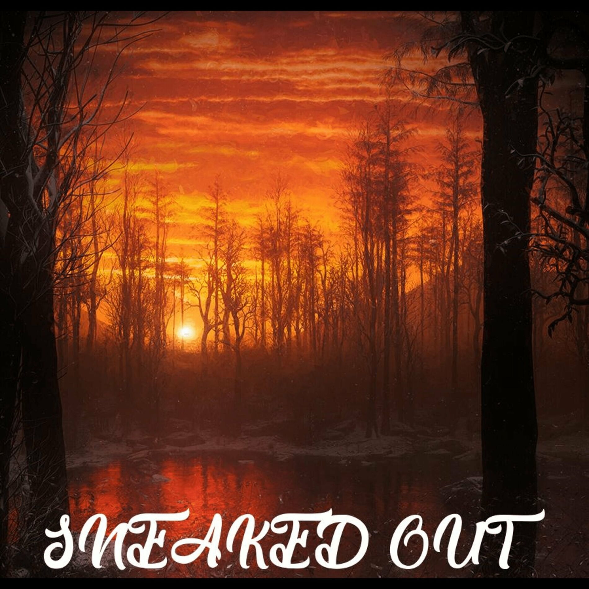 Album cover of Sneaked Out