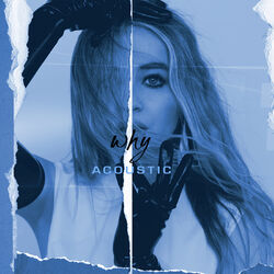 Cover of Why (Acoustic)