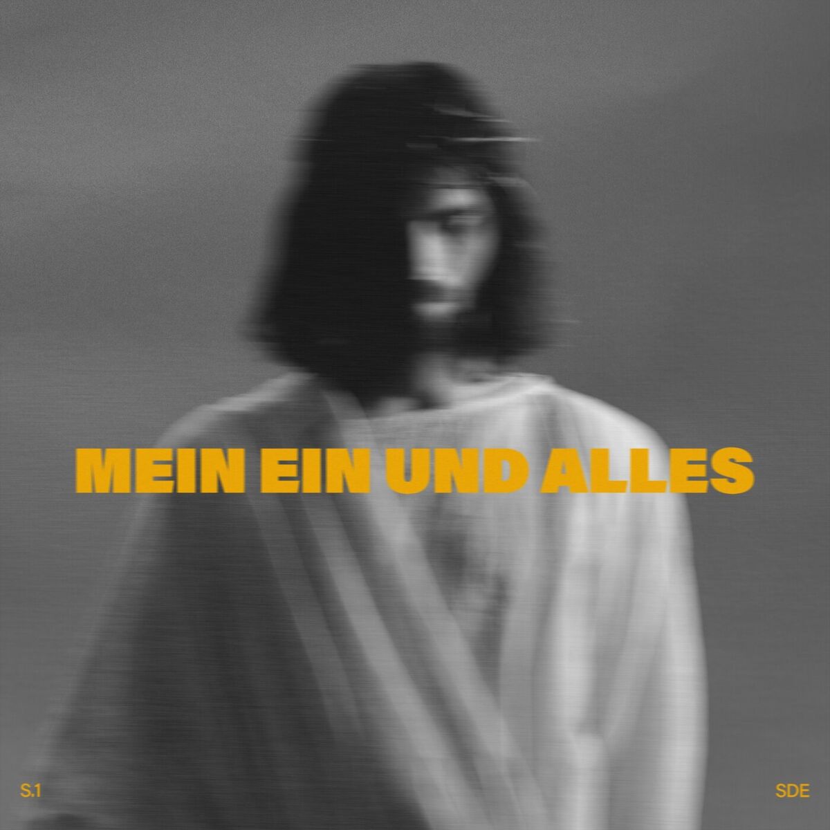 Album cover of Mein Ein und Alles (Live)